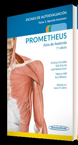 PROMETHEUS ATLAS DE ANATOMIA FICHAS DE AUTOEVALUACION | portada del libro