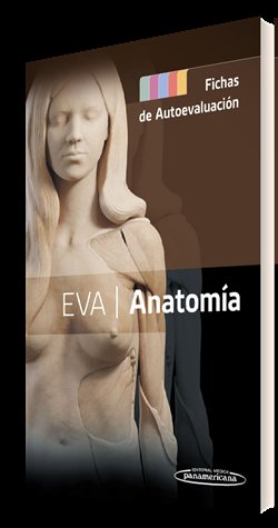 ANATOMIA FICHAS DE AUTOEVALUACION, de EVA | portada del libro