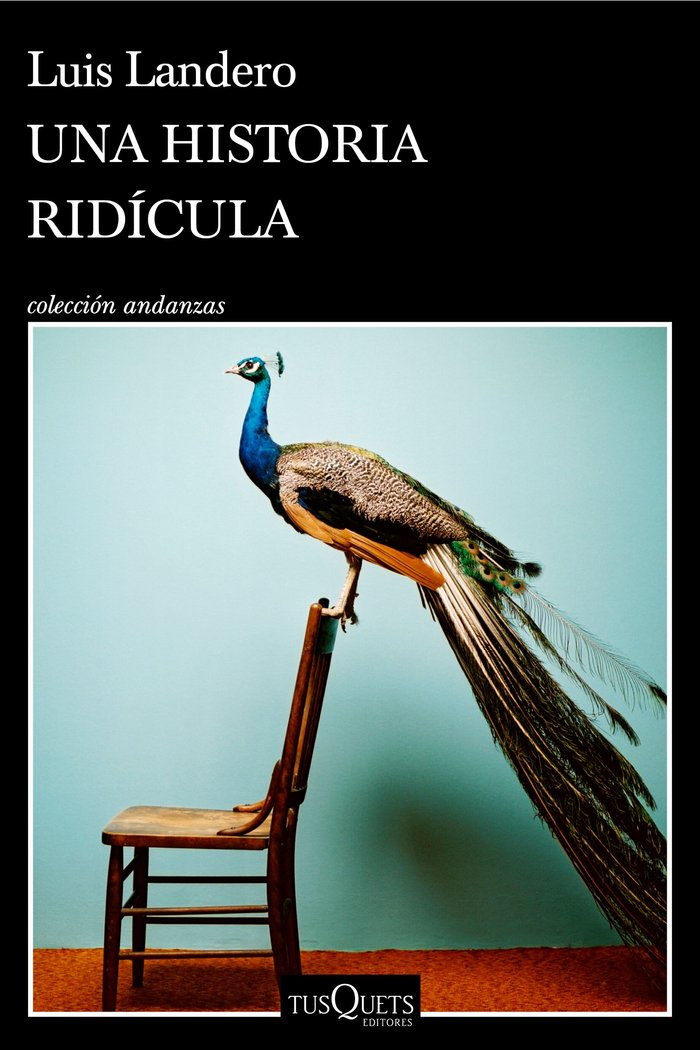UNA HISTORIA RIDICULA, de LUIS LANDERO | portada del libro
