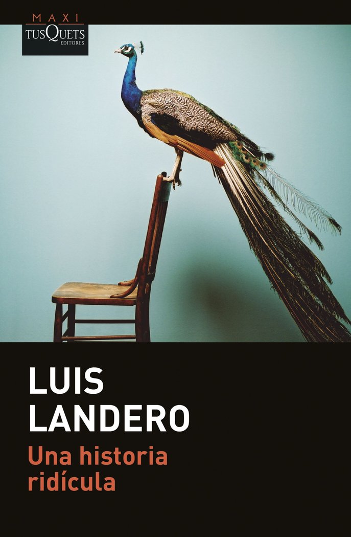 UNA HISTORIA RIDICULA, de LUIS LANDERO | portada del libro