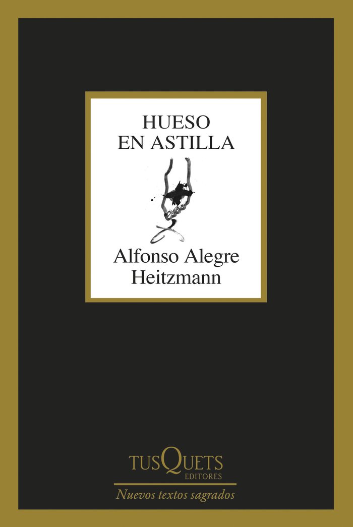 Hueso en astilla, de ALFONSO ALEGRE HEITZMANN | portada del libro