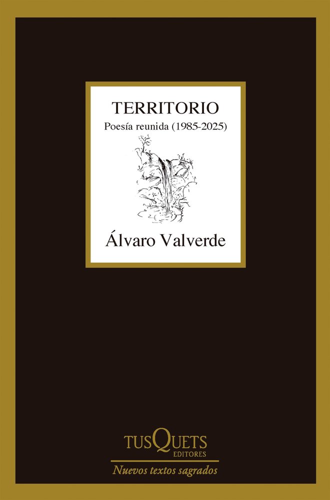 TERRITORIO POESIA REUNIDA 1985 2025, de ALVARO VALVERDE | portada del libro