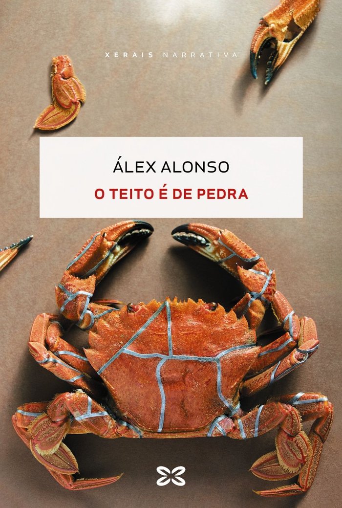 O TEITO E DE PEDRA, de ALONSO, ALEX | portada del libro
