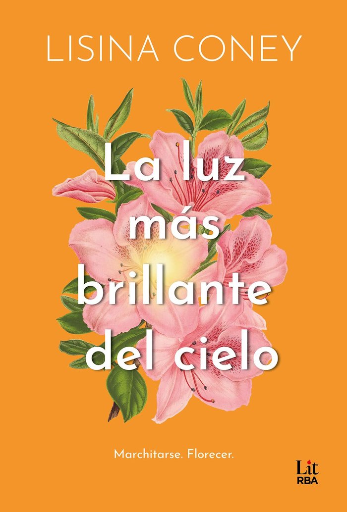 LUZ MÁS BRILLANTE DEL CIELO, LA, de CONEY | portada del libro