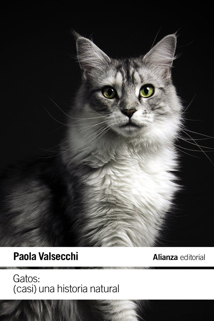 Gatos: (Casi) una historia natural, de VALSECCHI, PAOLA | portada del libro