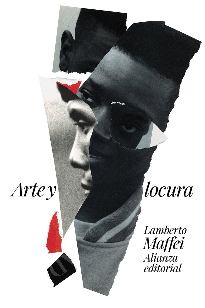 ARTE Y LOCURA, de MAFFEI, LAMBERTO | portada del libro