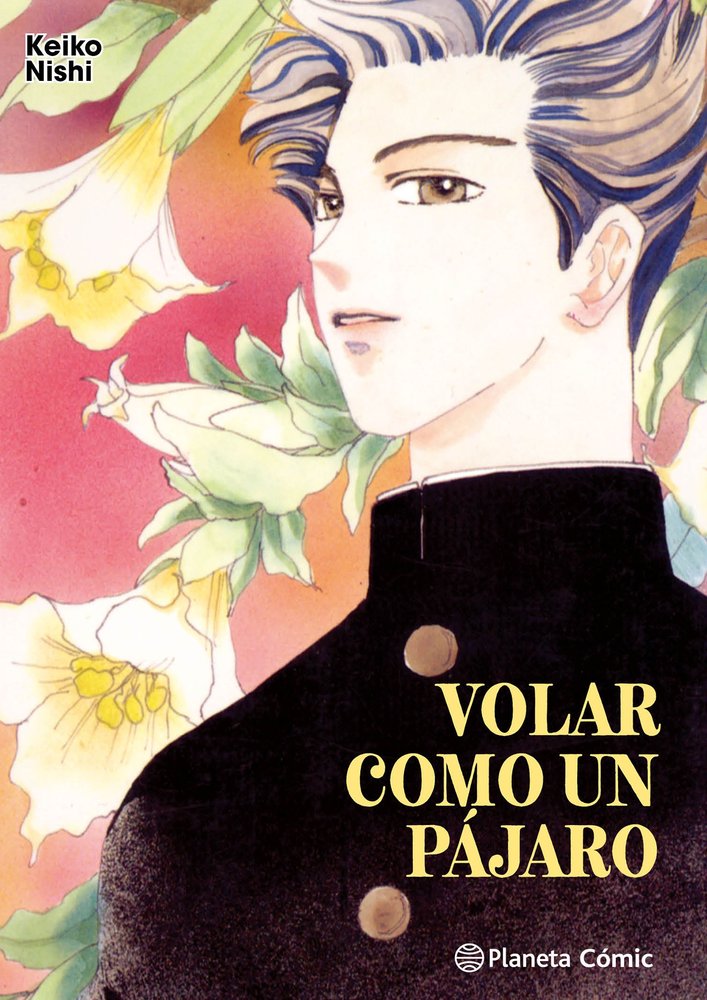 VOLAR COMO UN PAJARO, de KEIKO NISHI | portada del libro