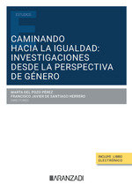 CAMINANDO HACIA LA IGUALDAD INVESTIGACIONES DESDE LA PERSPE | portada del libro