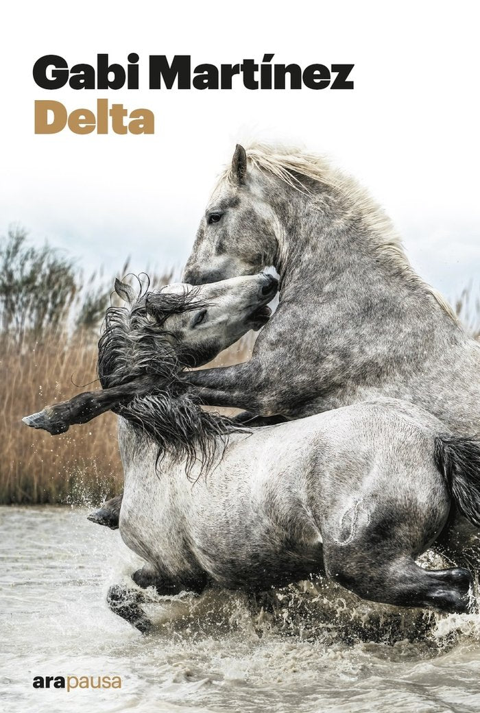 DELTA, de MARTINEZ CENDRERO, GABI | portada del libro