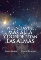 Videncias del más allá y donde están las almas, de Amoros Contreras | portada del libro