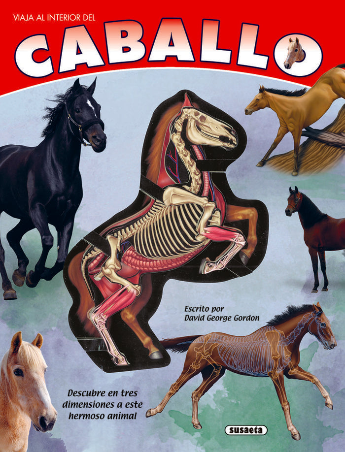 EL CABALLO, de GORDON, DAVID GEORGE | portada del libro