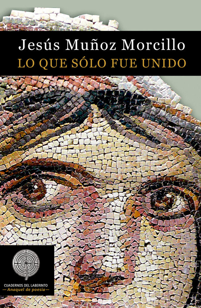 Lo que solo fue unido, de Muñoz Morcillo, Jesús | portada del libro