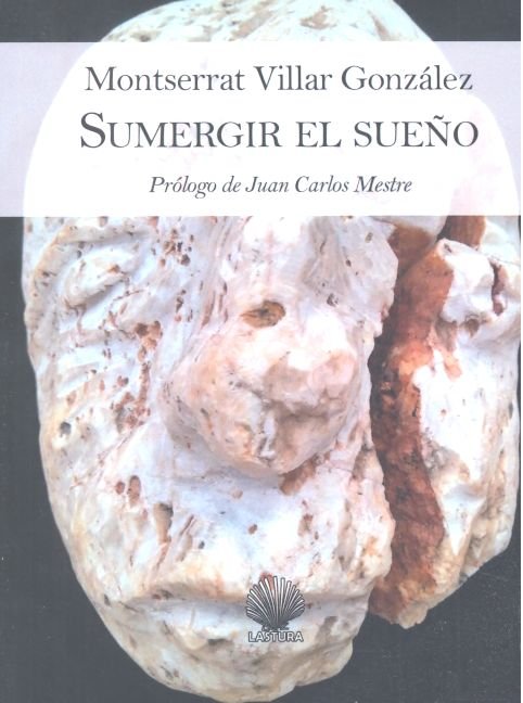 SUMERGIR EL SUEÑO / SULAGAR O SOÑO, de Villar González, Montserrat | portada del libro