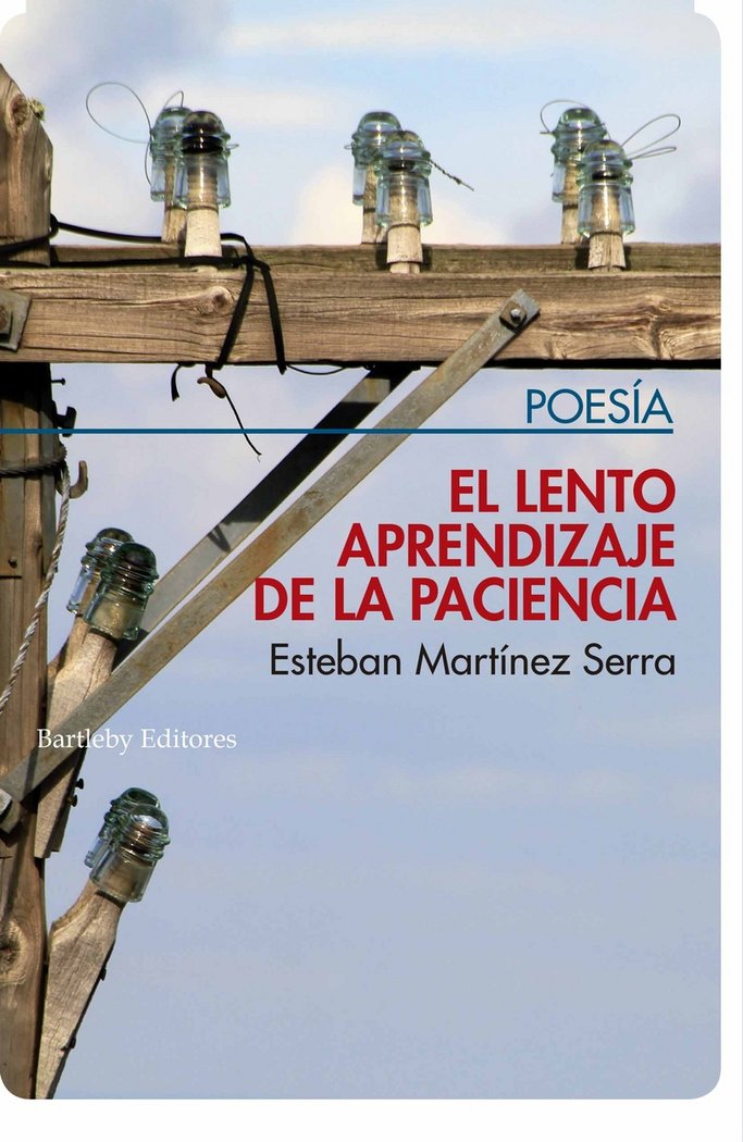 EL LENTO APRENDIZAJE DE LA PACIENCIA, de MARTINEZ SERRA, ESTEBAN | portada del libro