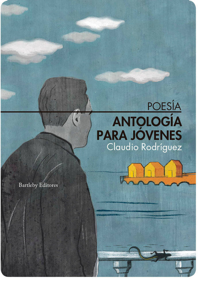 ANTOLOGIA PARA JOVENES, de RODRIGUEZ, CLAUDIO | portada del libro