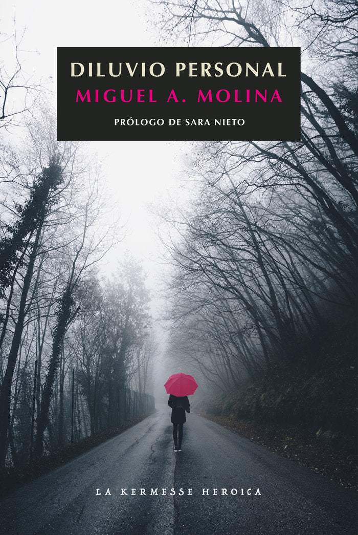 Diluvio personal, de MOLINA, MIGUEL ÁNGEL | portada del libro
