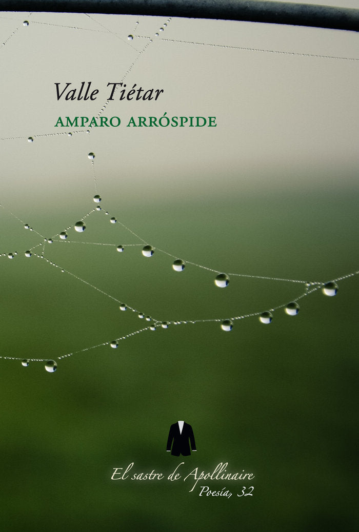 VALLE TIÉTAR, de ARRÓSPIDE, AMPARO | portada del libro