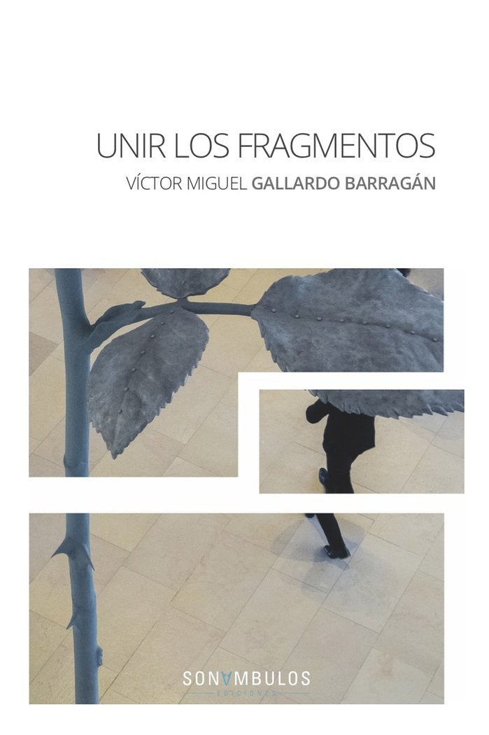 UNIR LOS FRAGMENTOS, de GALLARDO BARRAGÁN, VÍCTOR MIGUEL | portada del libro