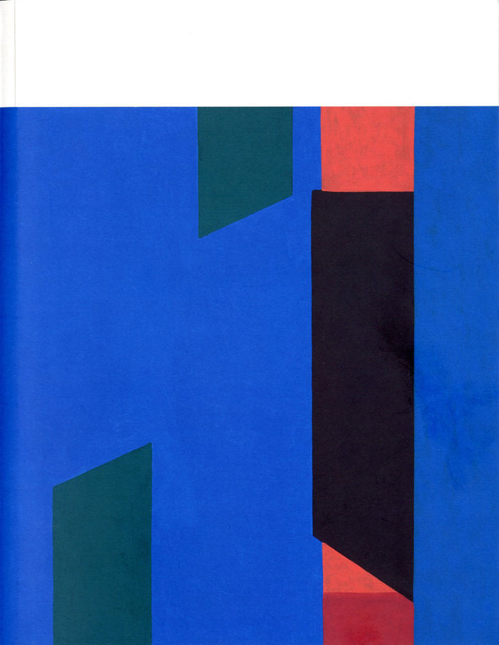 LUIS PALMERO, ESCALAS 1980-2020, de Guasch, Anna Maria | portada del libro
