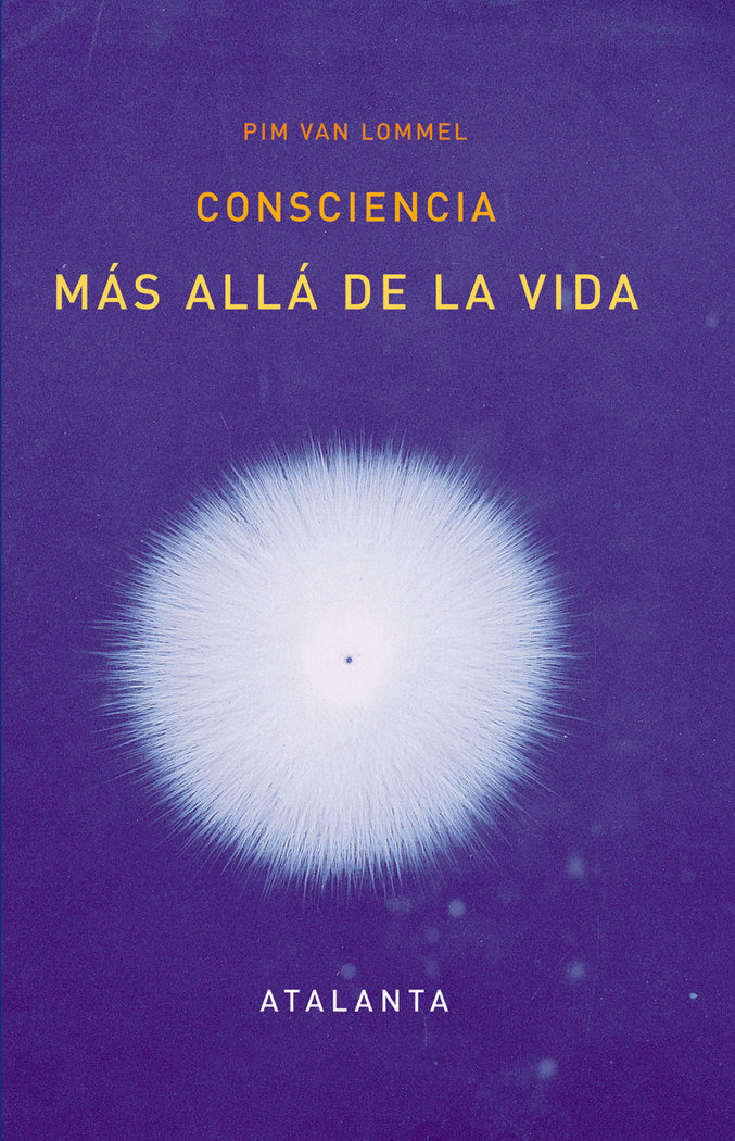 Consciencia más allá de la vida, de Pim Van Lommel | portada del libro
