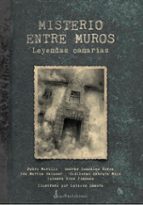 Misterio entre muros, de Varios autores | portada del libro