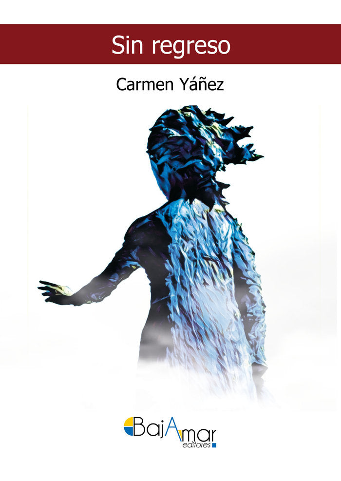SIN REGRESO, de YÃÑEZ HIDALGO, CARMEN | portada del libro