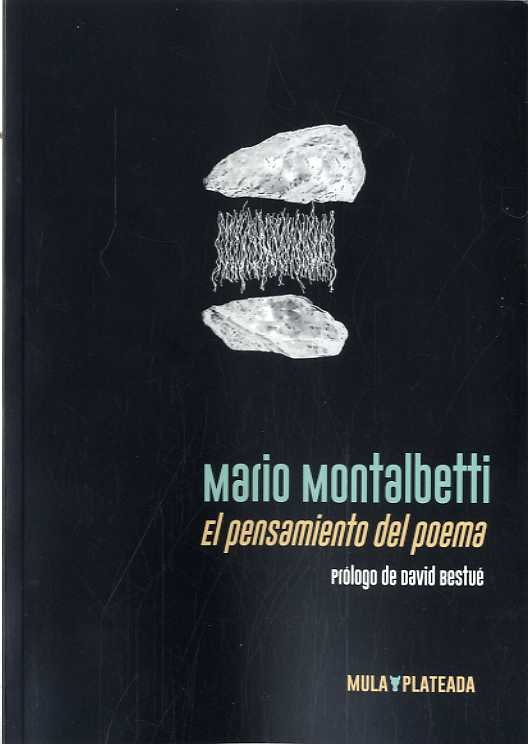 El pensamiento del poema, de Mario, Montalbetti | portada del libro