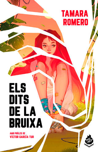 DITS DE LA BRUIXA, ELS, de ROMERO, TAMARA | portada del libro