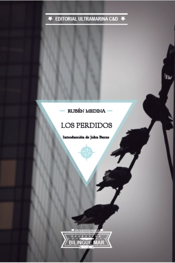 Los perdidos / The Lost Ones, de Medina, Rubén | portada del libro