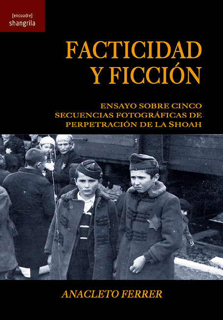 Facticidad y ficción, de Ferrer, Anacleto | portada del libro