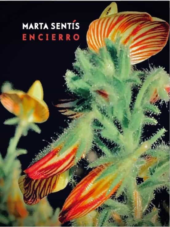Encierro, de SENTIS | portada del libro