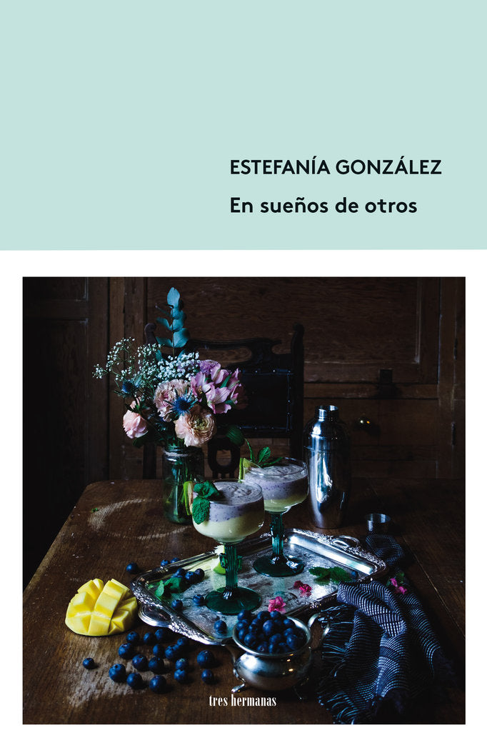 EN SUEÑOS DE OTROS, de GONZALEZ, ESTEFANIA | portada del libro