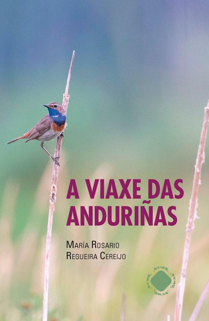 A viaxe das anduriñas, de Regueira Cereijo, María Rosario Regueira Cereijo | portada del libro