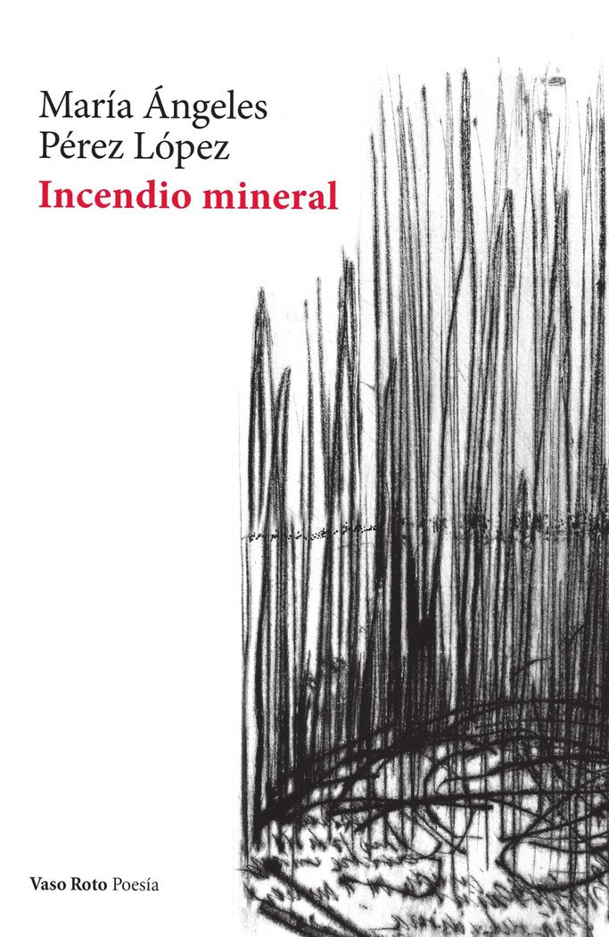 INCENDIO MINERAL, de PEREZ LOPEZ, MARIA ANGELES | portada del libro