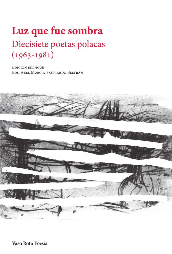 LUZ QUE FUE SOMBRA, de VARIOS, AUTORES | portada del libro