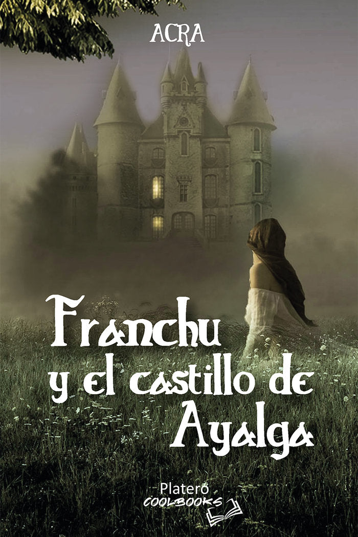 FRANCHU Y EL CASTILLO DE AYALGA, de RODRÃGUEZ GÓMEZ, MÓNICA | portada del libro