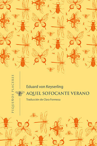 Aquel sofocante verano, de KEYSERLING | portada del libro