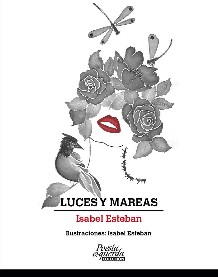 LUCES Y MAREAS, de Esteban, Isabel | portada del libro