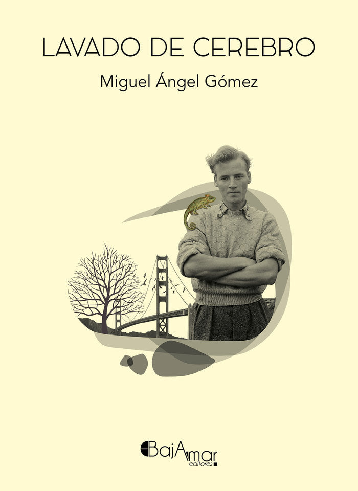 LAVADO DE CEREBRO, de GÓMEZ, MIGUEL ÃNGEL | portada del libro