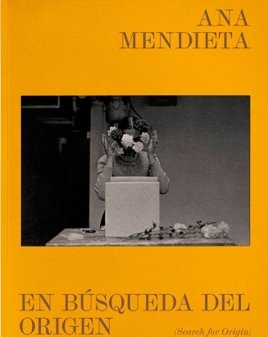 EN BUSQUEDA DEL ORIGEN (SEARCH FOR ORIGIN), de MENDIETA, ANA | portada del libro