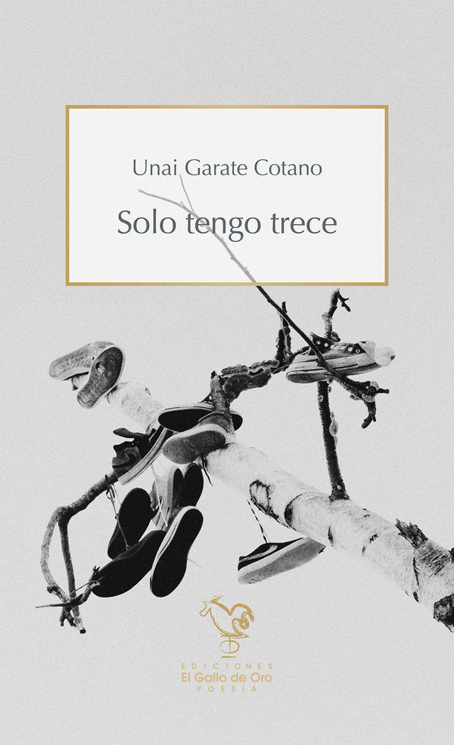 SOLO TENGO TRECE, de GARATE COTANO, UNAI | portada del libro