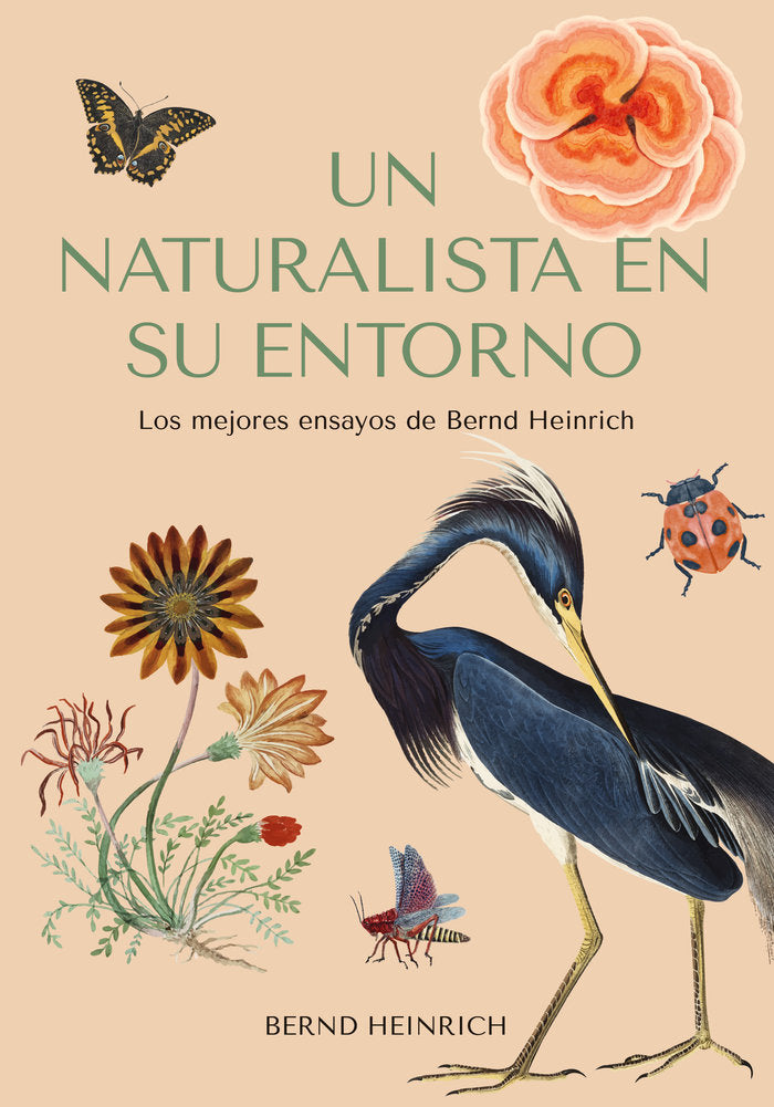 Un naturalista en su entorno, de HEINRICH, BERND | portada del libro