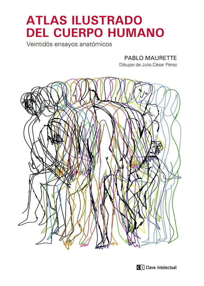 ATLAS ILUSTRADO DEL CUERPO HUMANO, de MAURETTE, PABLO | portada del libro