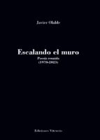 ESCALAR EL MURO, de JAVIER OLALDE | portada del libro