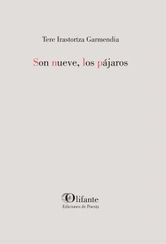 SON NUEVE LOS PAJAROS, de IRASTORTZA, TERE | portada del libro