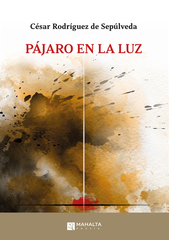 Pájaro en la luz, de Rodríguez de Sepúlveda, César | portada del libro