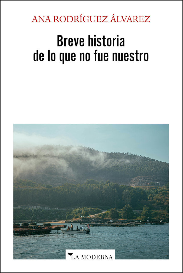 Breve historia de lo que no fue nuestro, de Rodríguez Álvarez, Ana | portada del libro