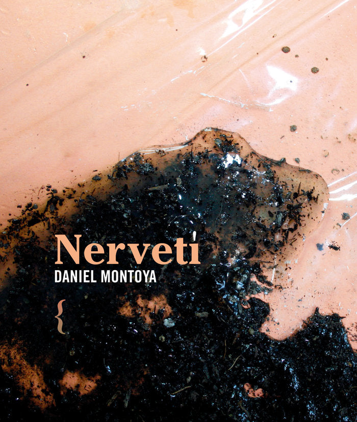 Nervetí, de , MONTOYA, DANIEL | portada del libro