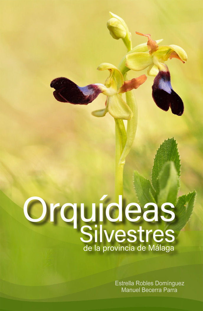 Orquídeas silvestres de la provincia de Málaga, de Becerra Parra, Manuel | portada del libro