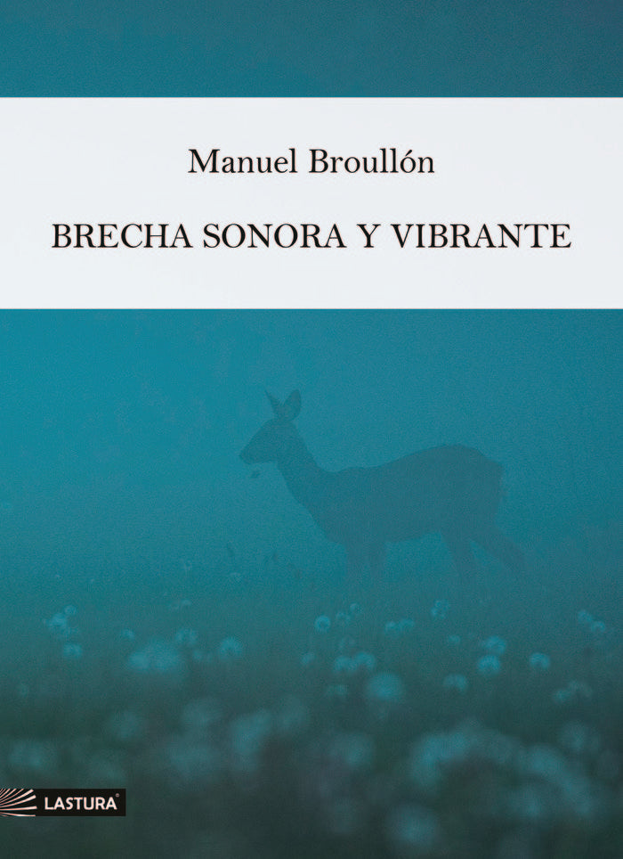 Brecha sonora y vibrante, de Broullón, Manuel | portada del libro